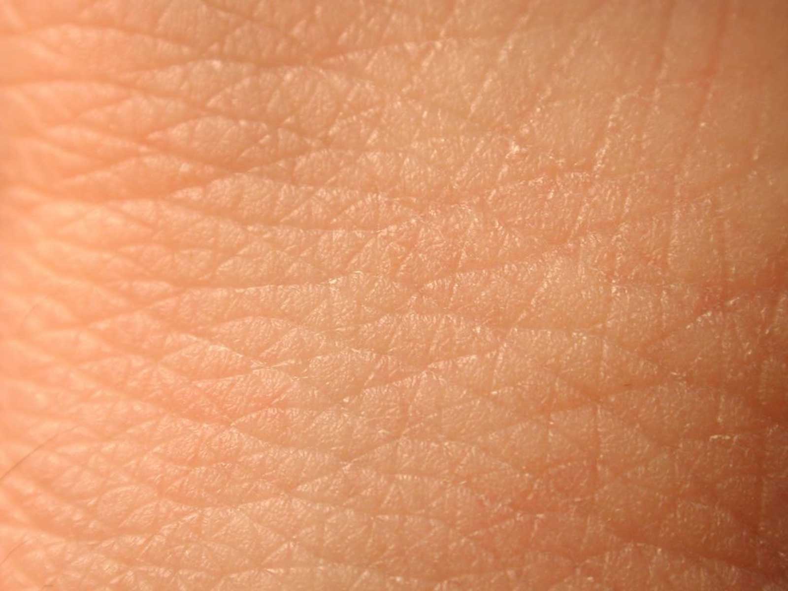 6420038E-1699-4611-B393-2B1D502CA879