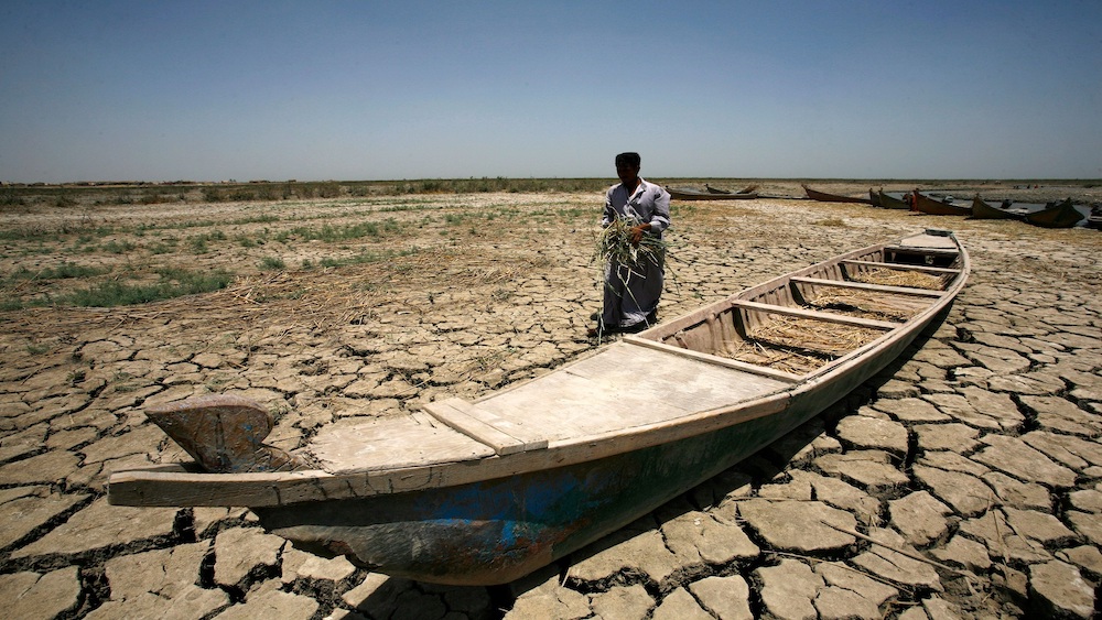 IRAQ-CONFLICT-ENVIRONMENT-MARSH